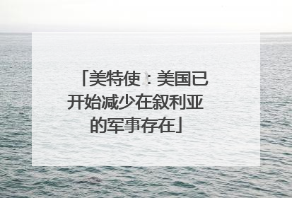 美特使：美国已开始减少在叙利亚的军事存在