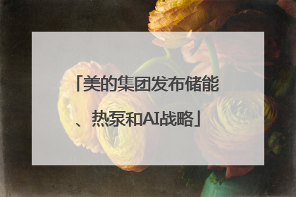 美的集团发布储能、热泵和AI战略