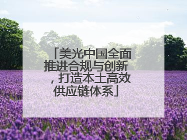 美光中国全面推进合规与创新，打造本土高效供应链体系