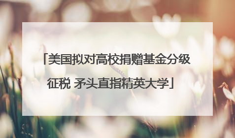 美国拟对高校捐赠基金分级征税 矛头直指精英大学