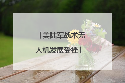 美陆军战术无人机发展受挫