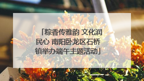 粽香传雅韵 文化润民心 南阳卧龙区石桥镇举办端午主题活动