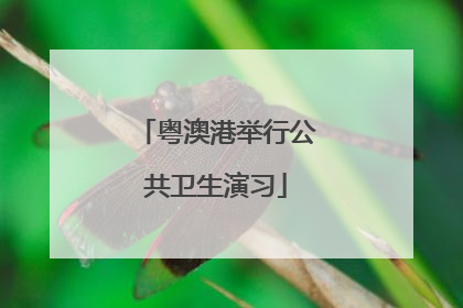 粤澳港举行公共卫生演习