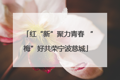 红“新”聚力青春 “梅”好共荣宁波慈城