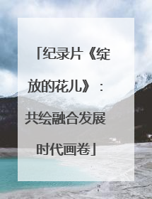 纪录片《绽放的花儿》：共绘融合发展时代画卷