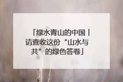 绿水青山的中国丨请查收这份“山水与共”的绿色答卷