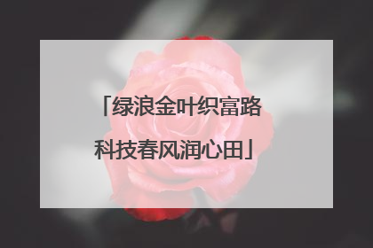 绿浪金叶织富路 科技春风润心田