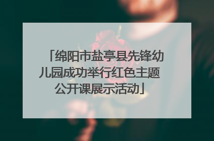 绵阳市盐亭县先锋幼儿园成功举行红色主题公开课展示活动
