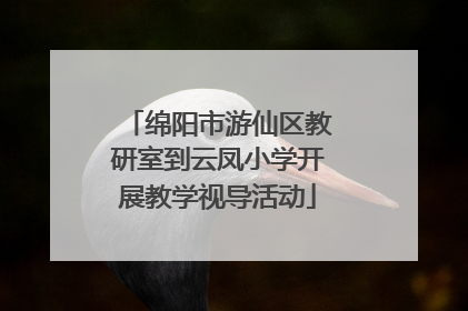 绵阳市游仙区教研室到云凤小学开展教学视导活动