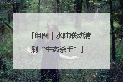组图｜水陆联动清剿“生态杀手”