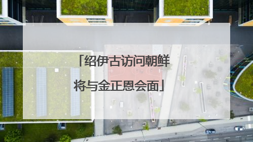 绍伊古访问朝鲜 将与金正恩会面