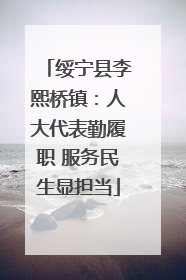 绥宁县李熙桥镇：人大代表勤履职 服务民生显担当