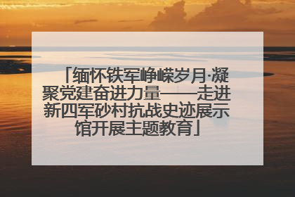 缅怀铁军峥嵘岁月·凝聚党建奋进力量——走进新四军砂村抗战史迹展示馆开展主题教育