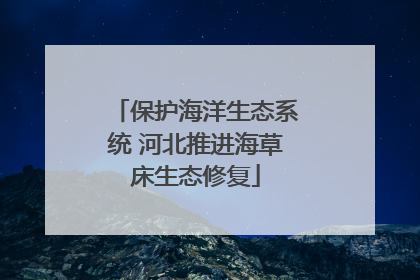 保护海洋生态系统 河北推进海草床生态修复