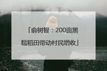 俞树智：200亩黑糯稻田带动村民增收