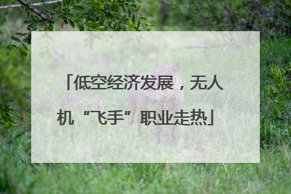 低空经济发展，无人机“飞手”职业走热