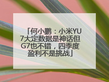 何小鹏：小米YU7大定数据是神话但G7也不错，四季度盈利不是挑战
