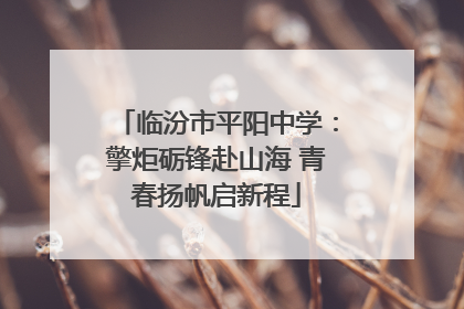 临汾市平阳中学：擎炬砺锋赴山海 青春扬帆启新程
