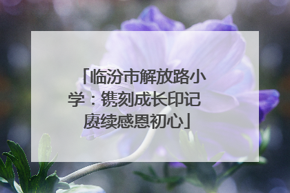 临汾市解放路小学：镌刻成长印记 赓续感恩初心