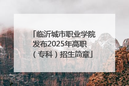 临沂城市职业学院发布2025年高职（专科）招生简章