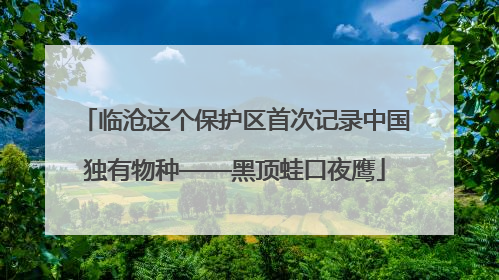 临沧这个保护区首次记录中国独有物种——黑顶蛙口夜鹰