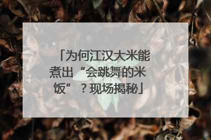 为何江汉大米能煮出“会跳舞的米饭”？现场揭秘