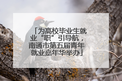 为高校毕业生就业“职”引导航，南通市第五届青年就业嘉年华举办