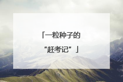 一粒种子的“赶考记”