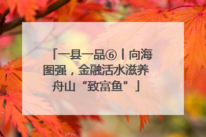 一县一品⑥丨向海图强，金融活水滋养舟山“致富鱼”