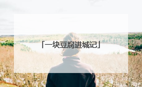 一块豆腐进城记