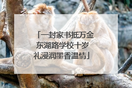 一封家书抵万金 东湖路学校十岁礼浸润墨香温情