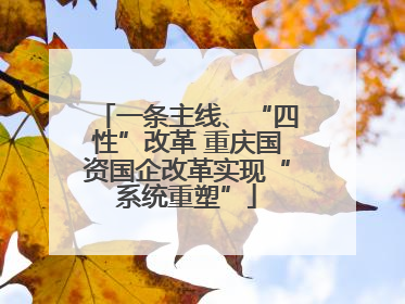 一条主线、“四性”改革 重庆国资国企改革实现“系统重塑”