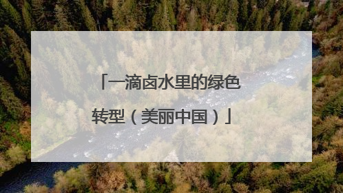 一滴卤水里的绿色转型（美丽中国）