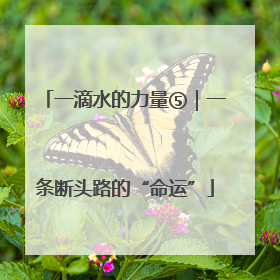 一滴水的力量⑤｜一条断头路的“命运”