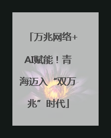 万兆网络+AI赋能！青海迈入“双万兆”时代