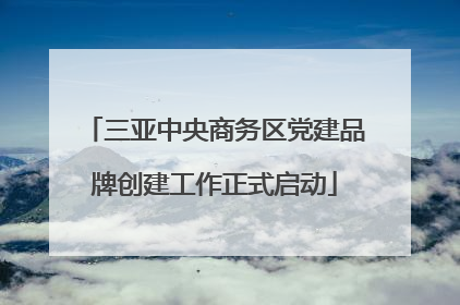 三亚中央商务区党建品牌创建工作正式启动