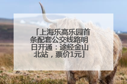 上海乐高乐园首条配套公交线路明日开通：途经金山北站，票价1元