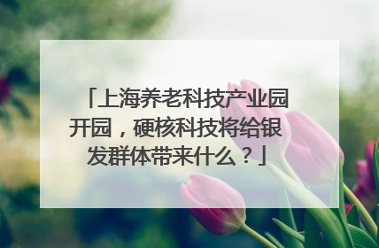上海养老科技产业园开园，硬核科技将给银发群体带来什么？