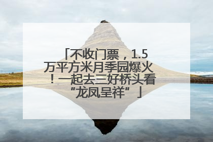 不收门票，1.5万平方米月季园爆火！一起去三好桥头看“龙凤呈祥”