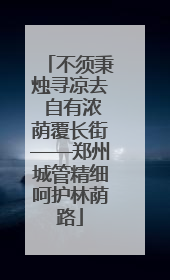 不须秉烛寻凉去 自有浓荫覆长街——郑州城管精细呵护林荫路
