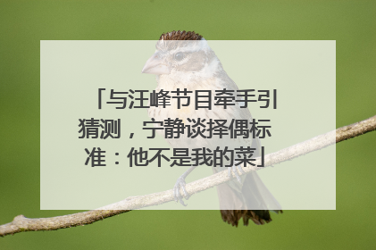 与汪峰节目牵手引猜测，宁静谈择偶标准：他不是我的菜