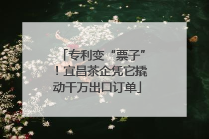 专利变“票子”！宜昌茶企凭它撬动千万出口订单