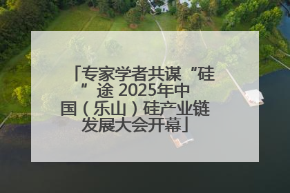 专家学者共谋“硅”途 2025年中国（乐山）硅产业链发展大会开幕
