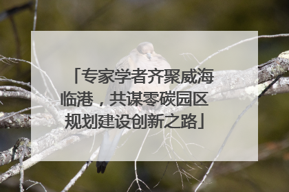 专家学者齐聚威海临港，共谋零碳园区规划建设创新之路