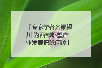 专家学者齐聚银川 为西部虾蟹产业发展把脉问诊