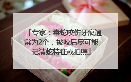 专家：毒蛇咬伤牙痕通常为2个，被咬后尽可能记清蛇特征或拍照