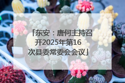 东安：唐何主持召开2025年第16次县委常委会会议