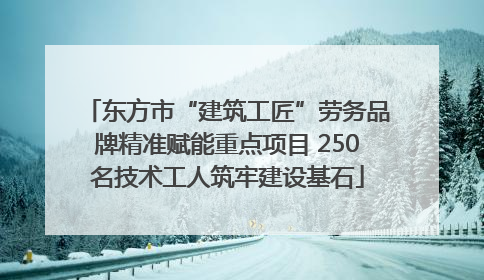 东方市“建筑工匠”劳务品牌精准赋能重点项目 250名技术工人筑牢建设基石