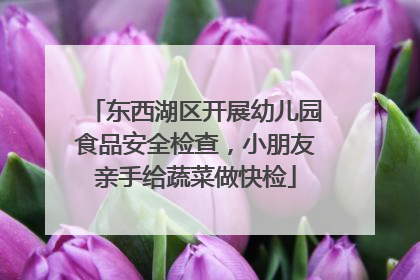 东西湖区开展幼儿园食品安全检查，小朋友亲手给蔬菜做快检