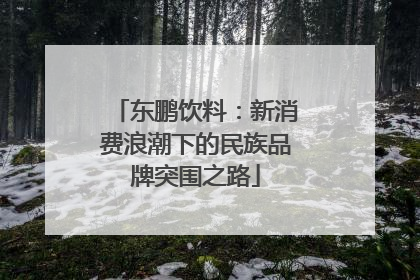 东鹏饮料：新消费浪潮下的民族品牌突围之路